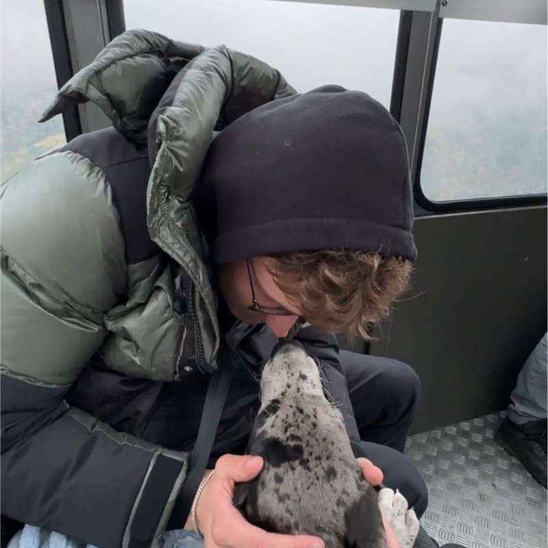 Noah's profile picture